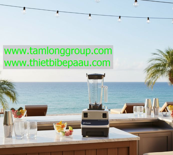 Máy xay sinh tố Vitamix Drink Machine Two Speed