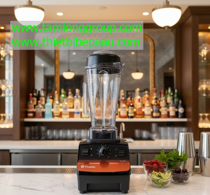 Máy xay sinh tố Vitamix Vita-Prep 3